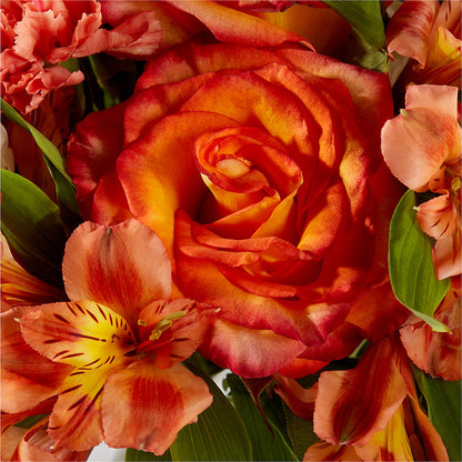 Apricot Glow Bouquet – VEEDERSBURG FLORIST & GIFTS, Veedersburg IN