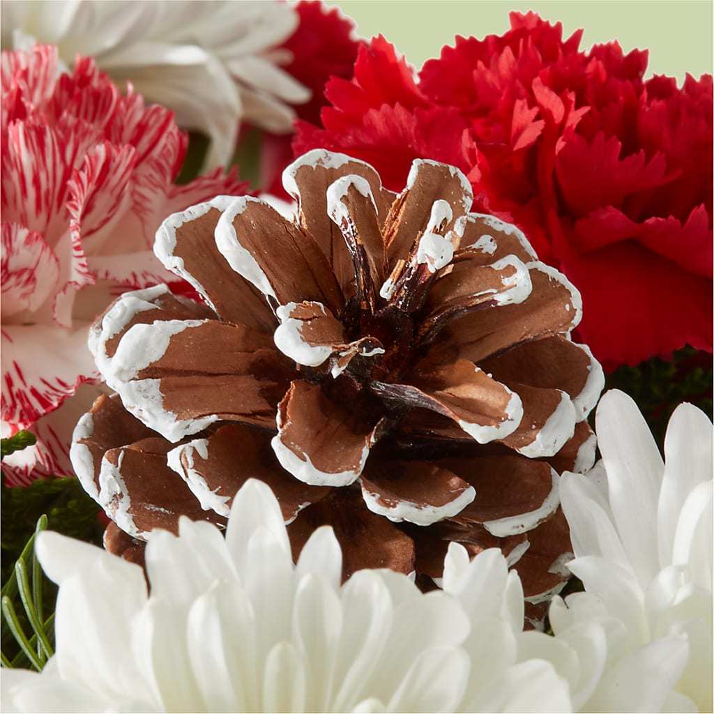 Candy Cane Lane Bouquet – VEEDERSBURG FLORIST & GIFTS, Veedersburg IN