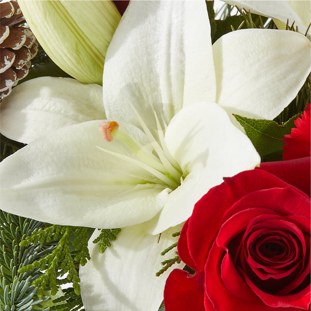 Oh So Jolly Bouquet – VEEDERSBURG FLORIST & GIFTS, Veedersburg IN