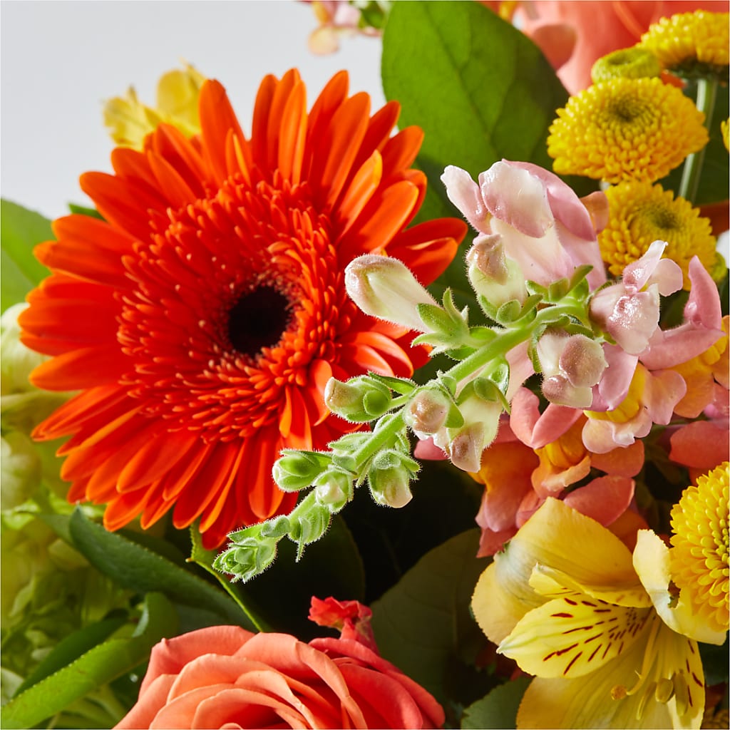 Autumn Sunshine Bouquet – VEEDERSBURG FLORIST & GIFTS, Veedersburg IN