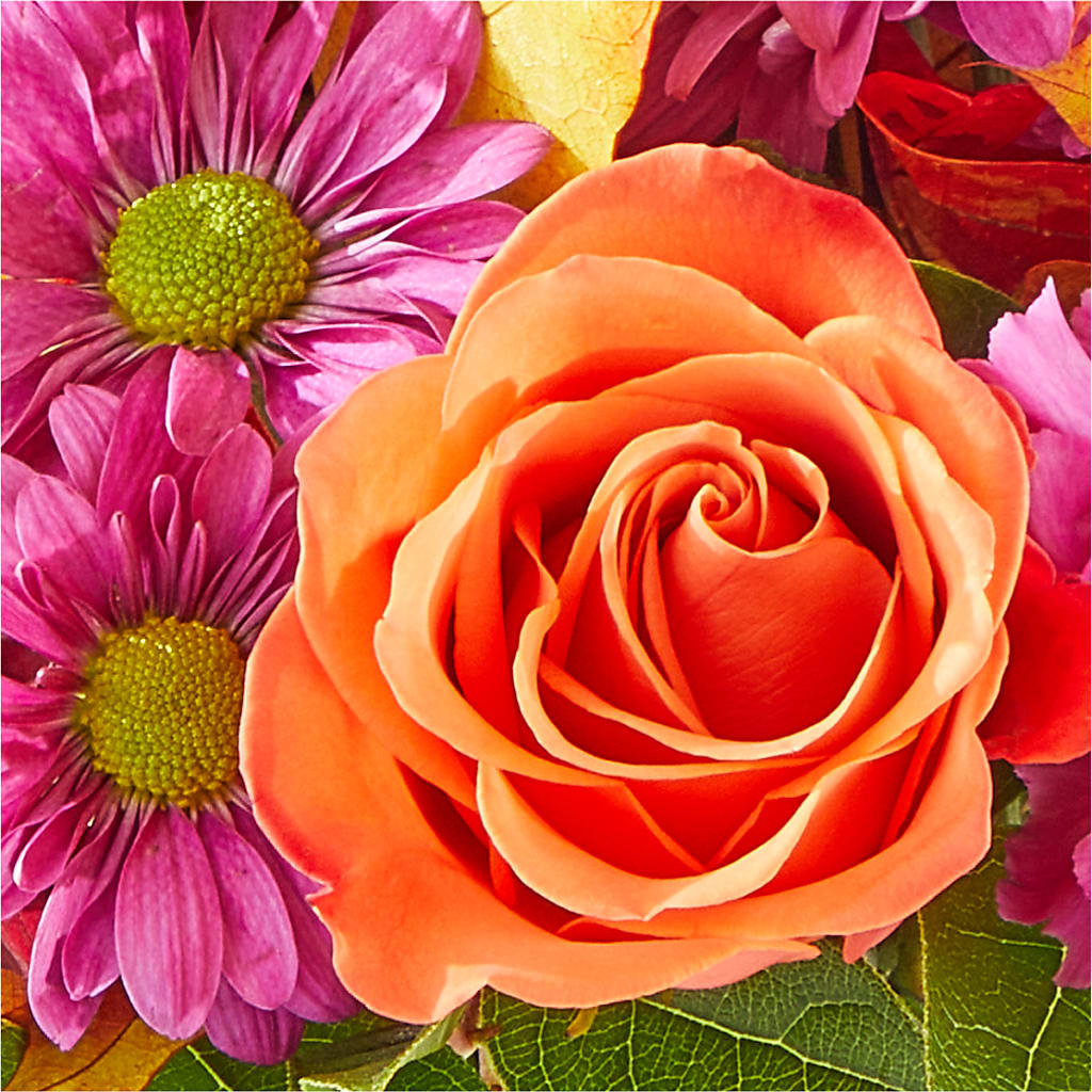 Mum's the Word Bouquet – VEEDERSBURG FLORIST & GIFTS, Veedersburg IN