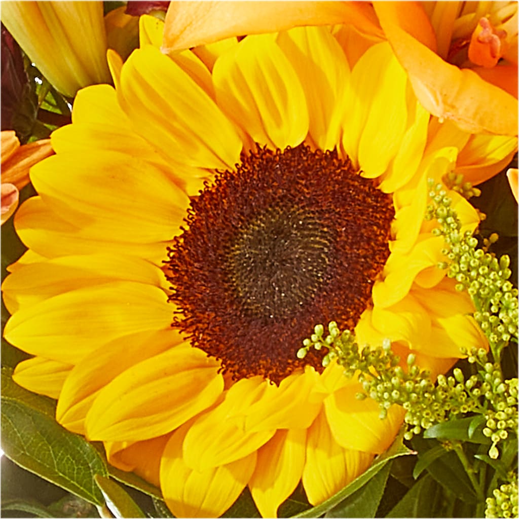 Seasons Change Bouquet – VEEDERSBURG FLORIST & GIFTS, Veedersburg IN