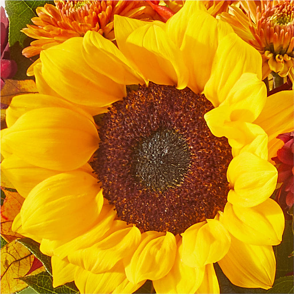 Sunny Side Bouquet – VEEDERSBURG FLORIST & GIFTS, Veedersburg IN