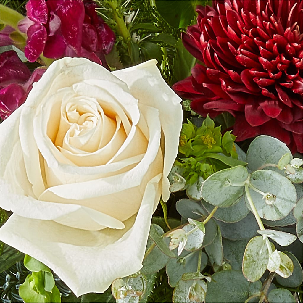 Cranberry Fizz Bouquet – VEEDERSBURG FLORIST & GIFTS, Veedersburg IN