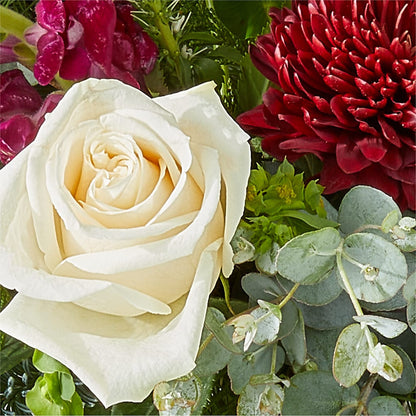Cranberry Fizz Bouquet – VEEDERSBURG FLORIST & GIFTS, Veedersburg IN