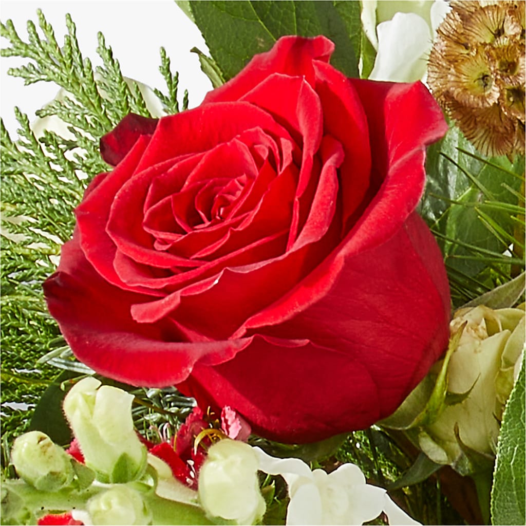 Deck the Halls Bouquet – VEEDERSBURG FLORIST & GIFTS, Veedersburg IN