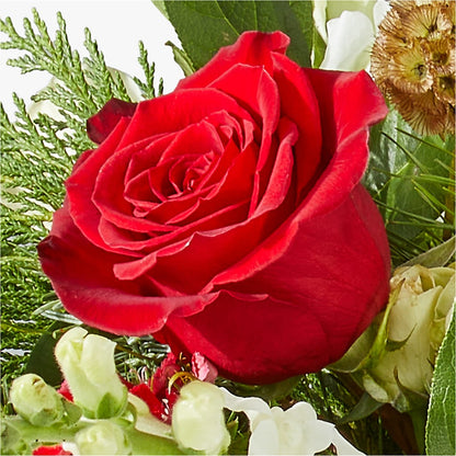 Deck the Halls Bouquet – VEEDERSBURG FLORIST & GIFTS, Veedersburg IN