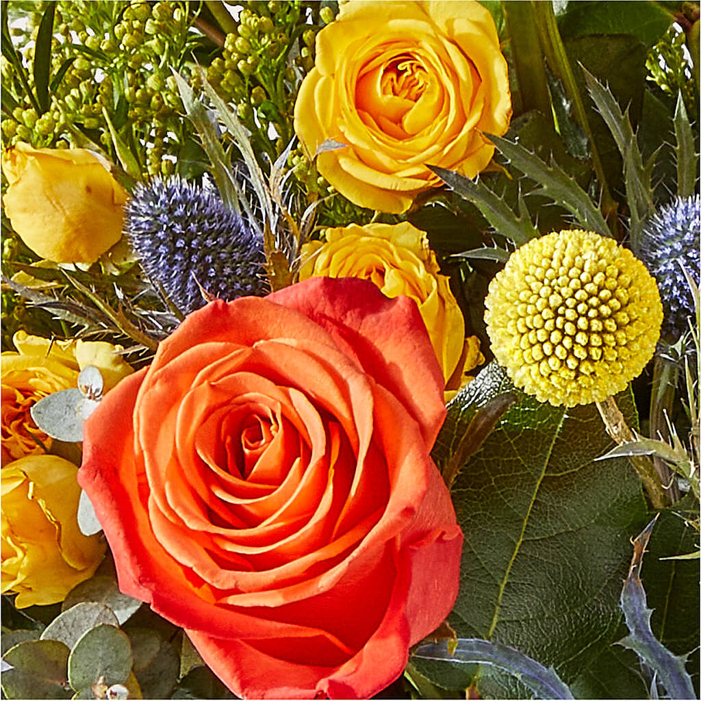 Disco Bouquet – VEEDERSBURG FLORIST & GIFTS, Veedersburg IN