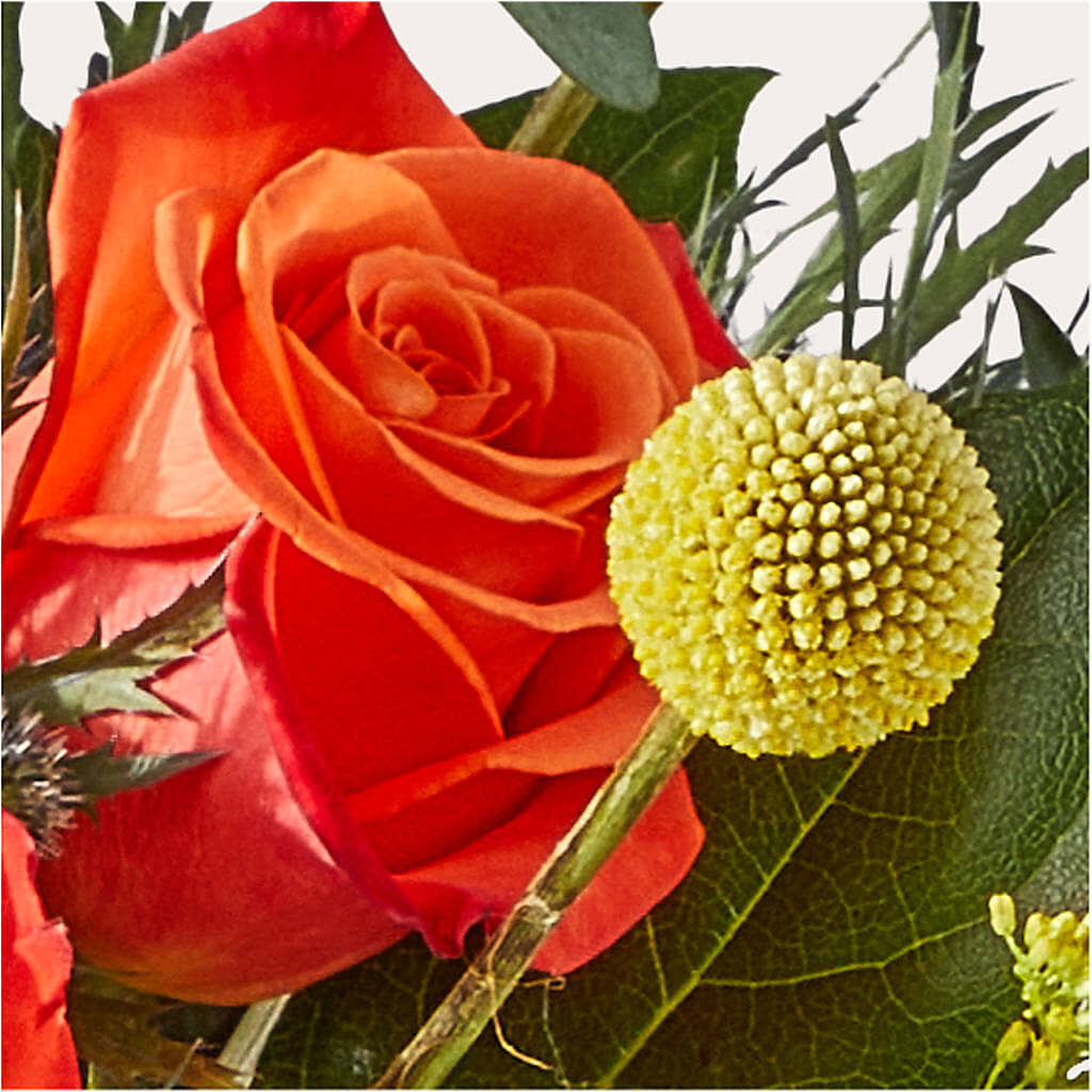 Disco Bouquet – VEEDERSBURG FLORIST & GIFTS, Veedersburg IN