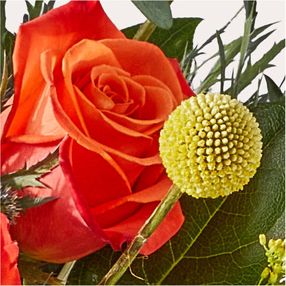 Disco Bouquet – VEEDERSBURG FLORIST & GIFTS, Veedersburg IN