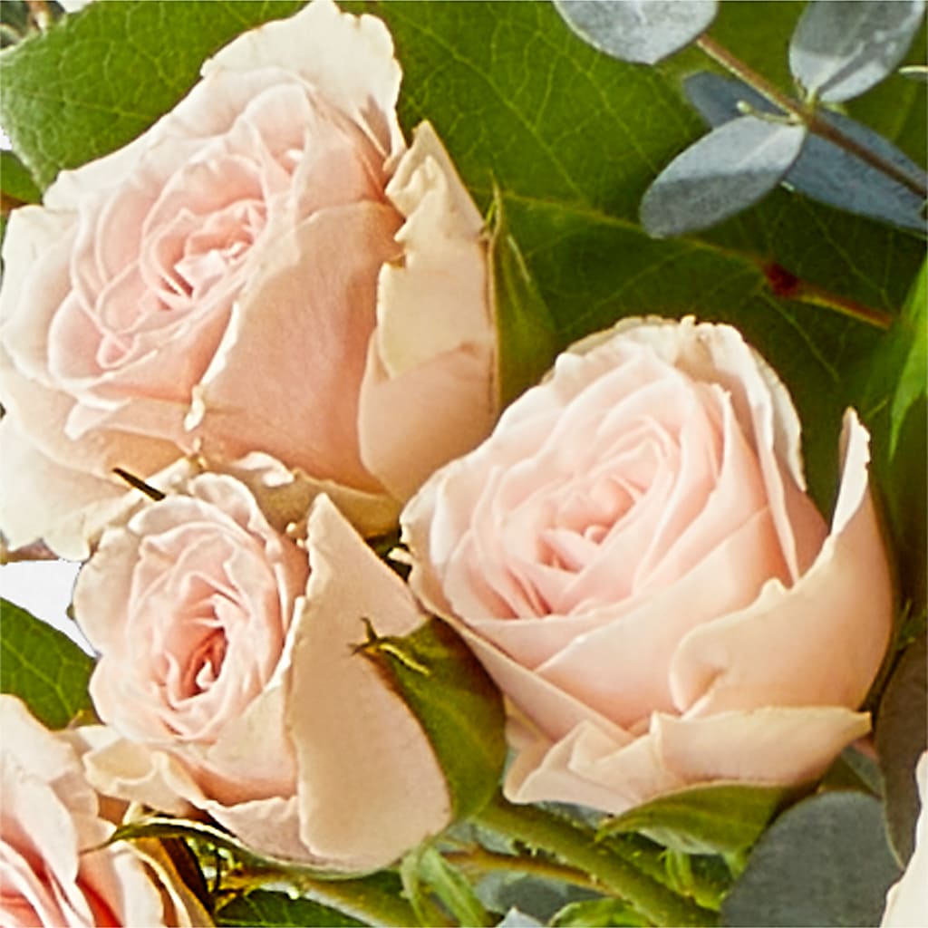 Inspired Bouquet – VEEDERSBURG FLORIST & GIFTS, Veedersburg IN