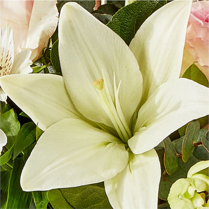 Ballet Slippers Bouquet – VEEDERSBURG FLORIST & GIFTS, Veedersburg IN