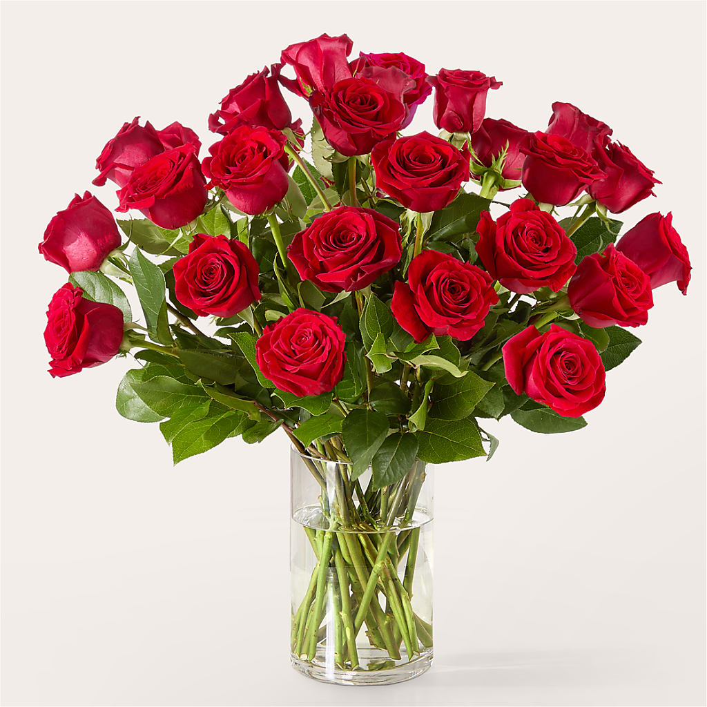 The One Red Rose Bouquet – VEEDERSBURG FLORIST & GIFTS, Veedersburg IN