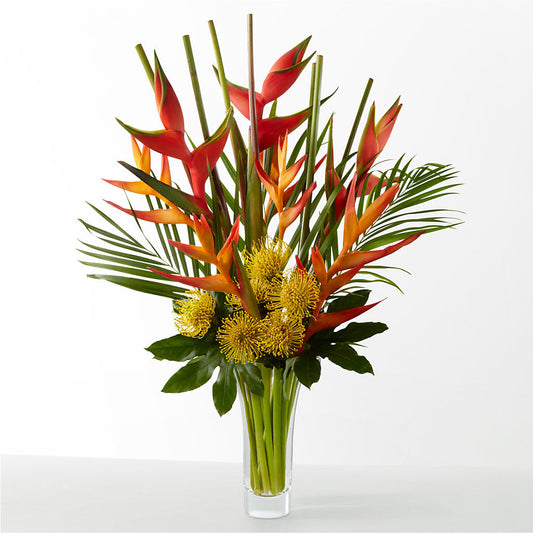 The Drama – VEEDERSBURG FLORIST & GIFTS, Veedersburg IN