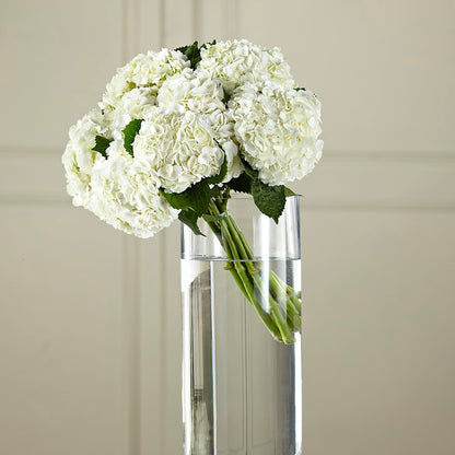 White Hydrangea Hand-Tied Bouquet – VEEDERSBURG FLORIST & GIFTS, Veedersburg IN