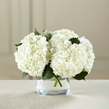 White Hydrangea Bouquet – VEEDERSBURG FLORIST & GIFTS, Veedersburg IN