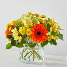 Load image into Gallery viewer, Autumn Sunshine Bouquet
