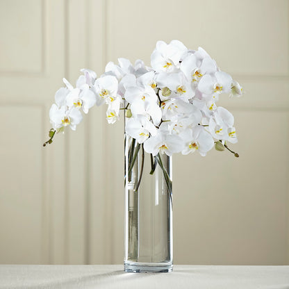 White Phalaenopsis Bouquet – VEEDERSBURG FLORIST & GIFTS, Veedersburg IN